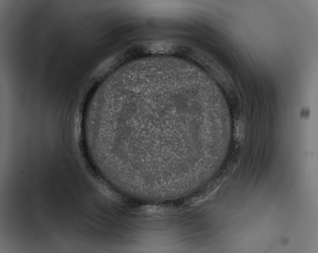 X0000103320733200809261135