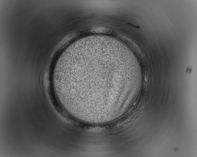 X0000103320734200809261135