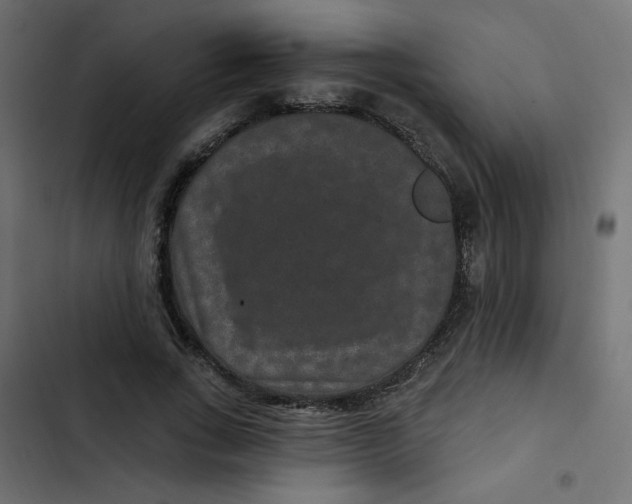 X0000103320735200809261135