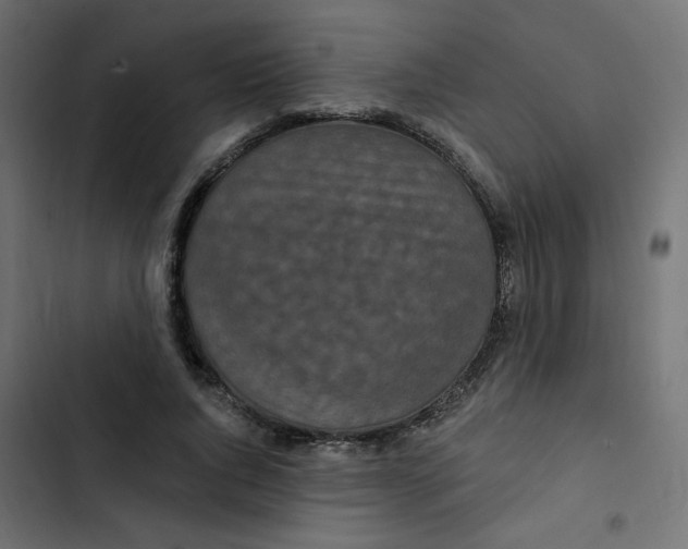 X0000103320736200809261135