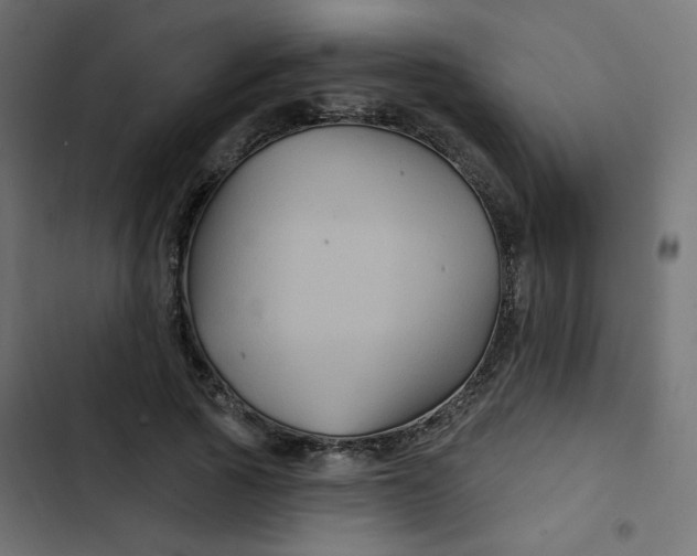 X0000103320737200809261136