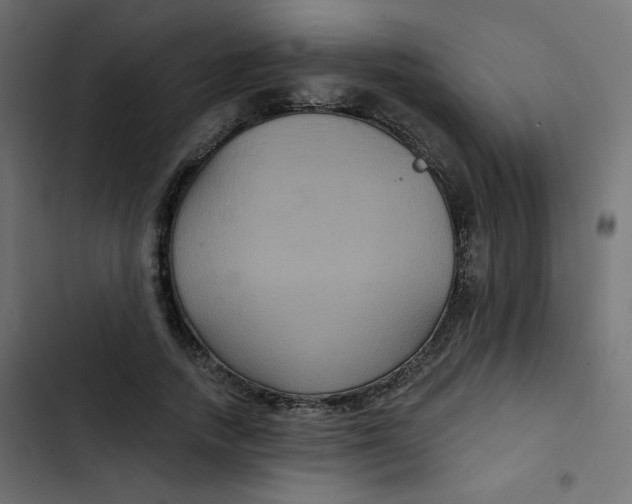 X0000103320738200809261136