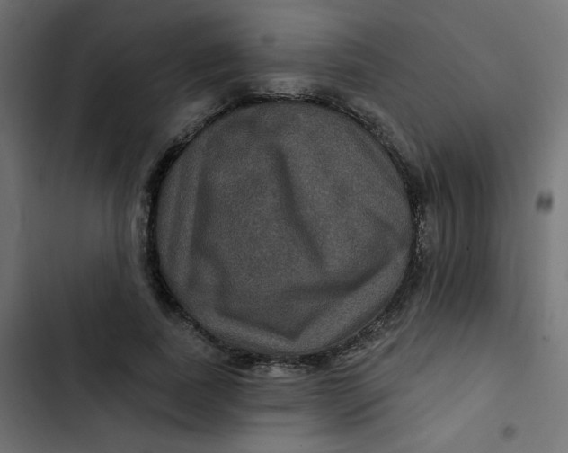 X0000103320739200809261136