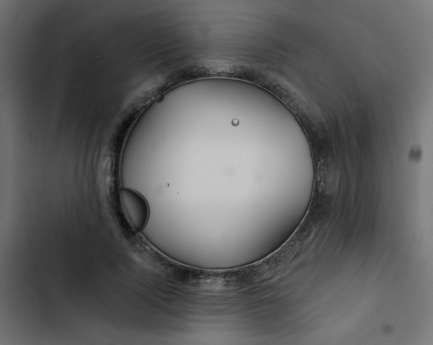 X0000103320740200809261136