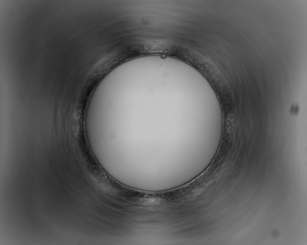 X0000103320741200809261136