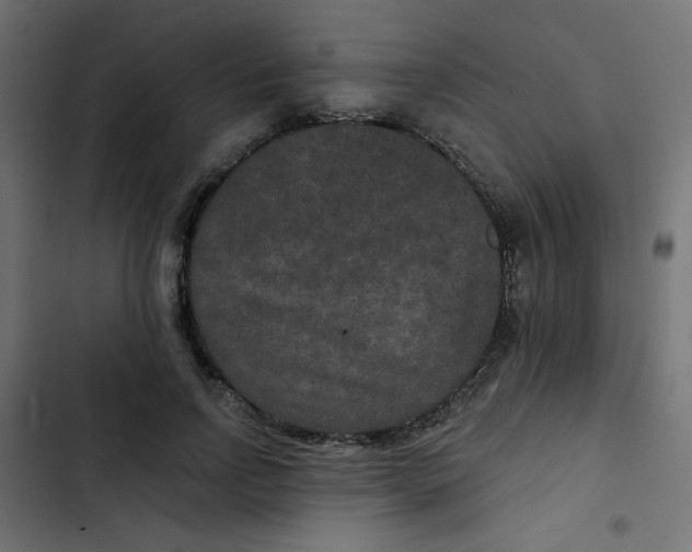 X0000103320742200809261136