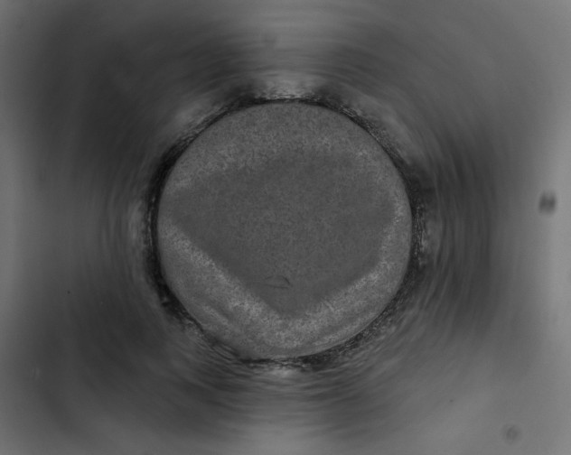 X0000103320743200809261136