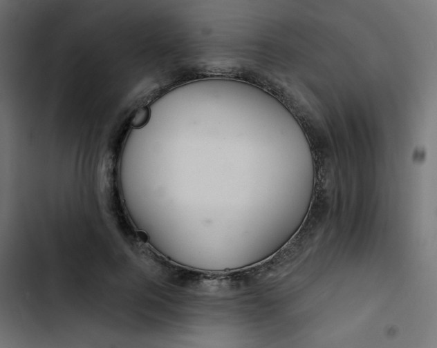 X0000103320744200809261136