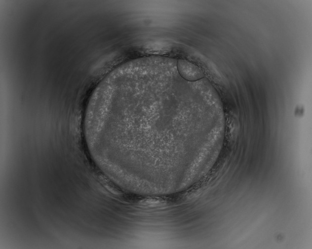 X0000103320745200809261136