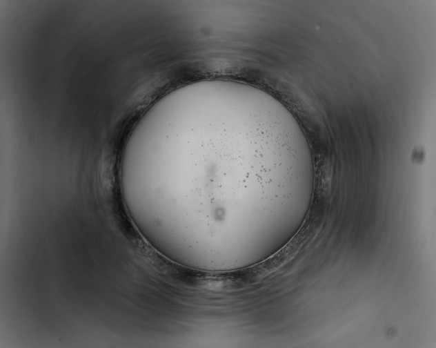 X0000103320746200809261136