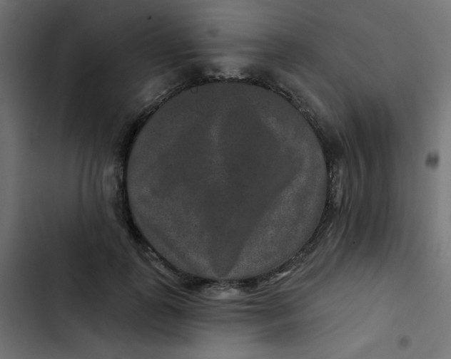 X0000103320747200809261136