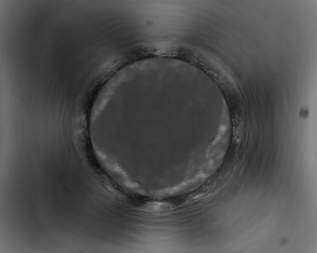 X0000103320748200809261136