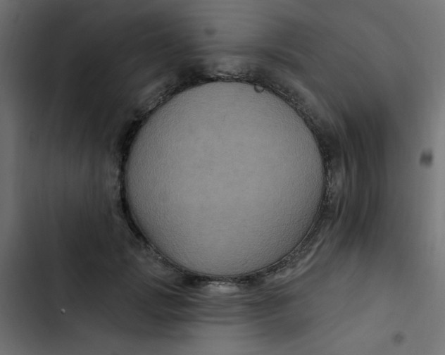 X0000103320749200809261136