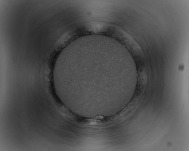 X0000103320750200809261136