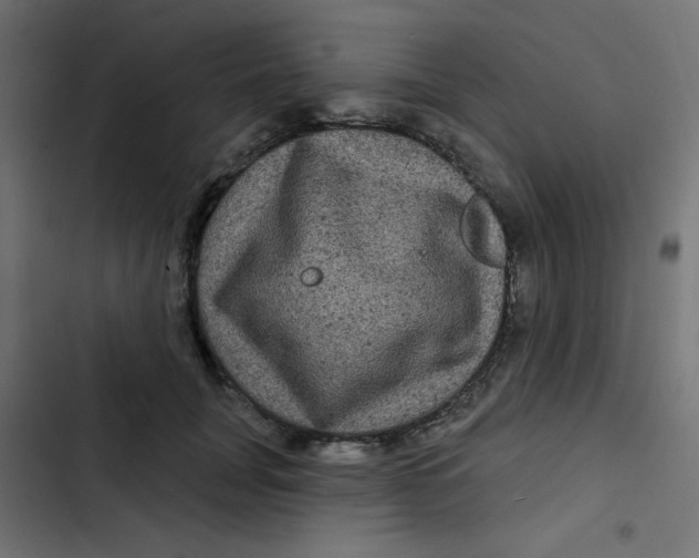 X0000103320751200809261136