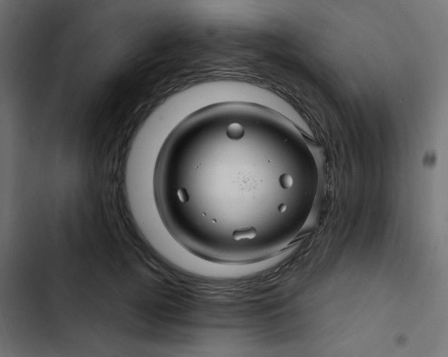 X0000103320752200809261136