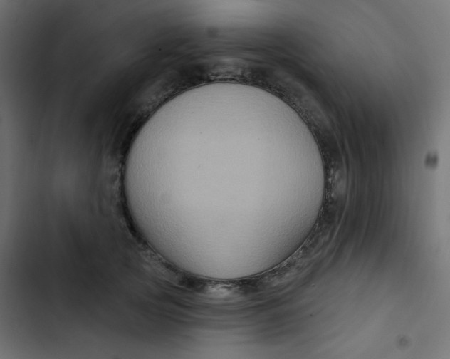 X0000103320753200809261136