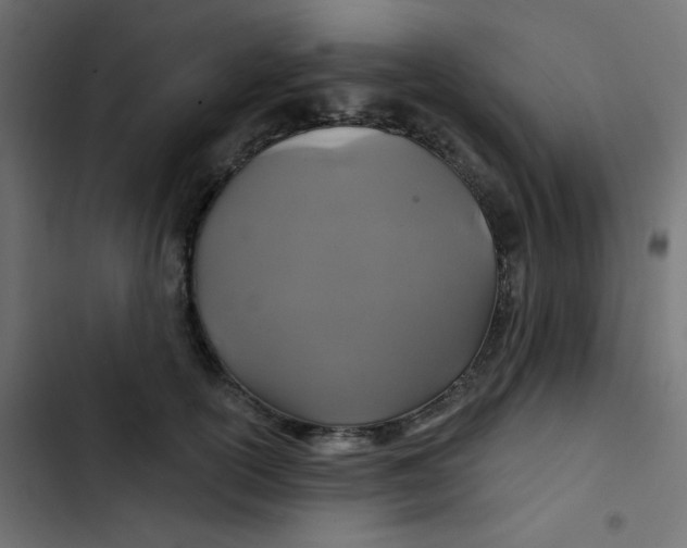 X0000103320754200809261136