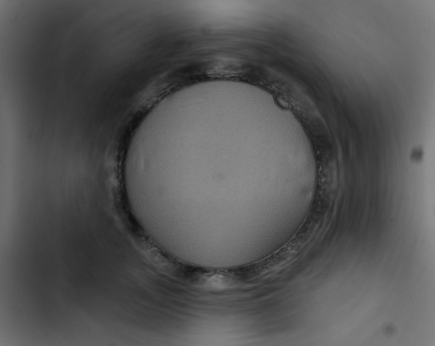 X0000103320755200809261136