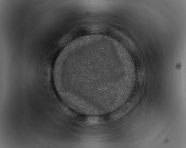 X0000103320757200809261136