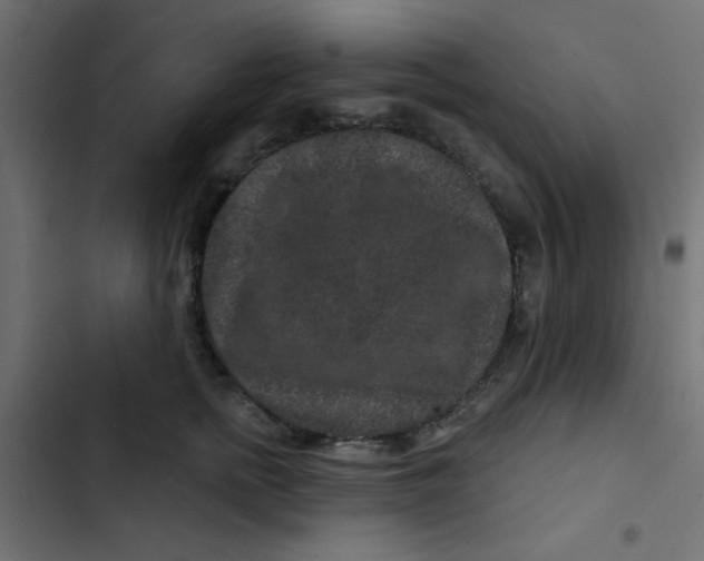 X0000103320758200809261136