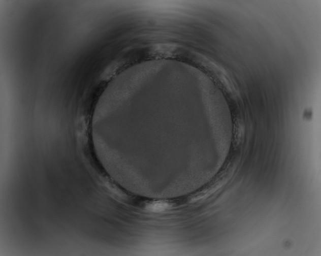 X0000103320759200809261136