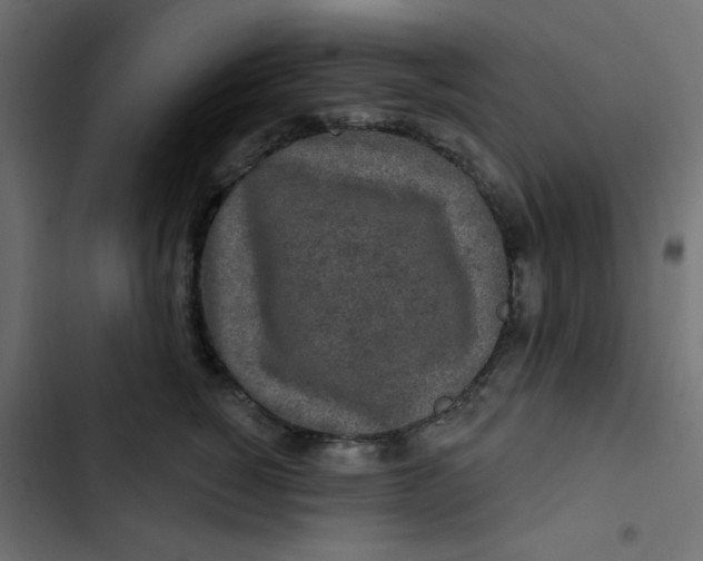 X0000103320760200809261136