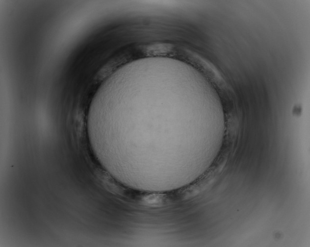 X0000103320761200809261136