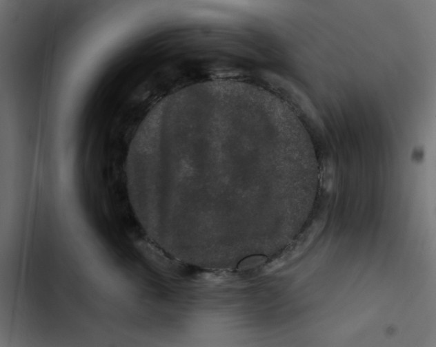 X0000103320763200809261136