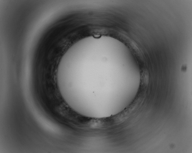 X0000103320764200809261136