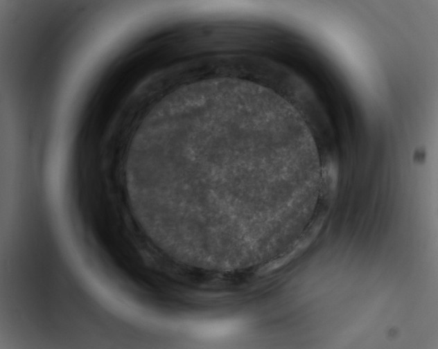 X0000103320765200809261136