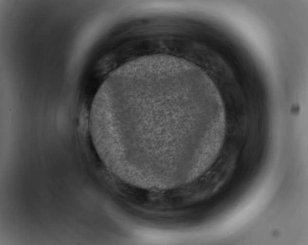 X0000103320766200809261136