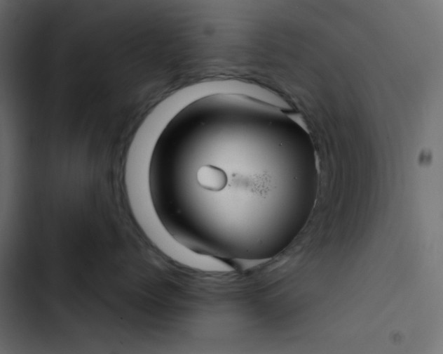 X0000103320768200809261136