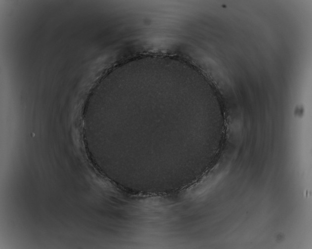 X0000103320769200809261135