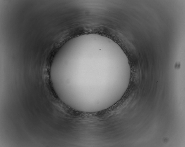 X0000103320770200809261135