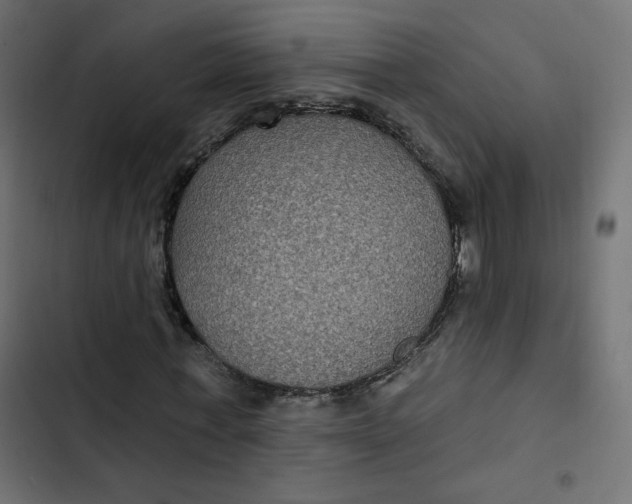 X0000103320771200809261135