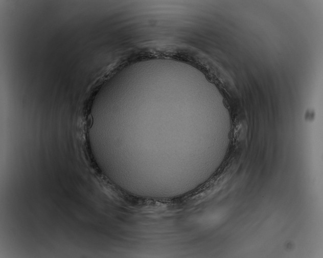 X0000103320772200809261135