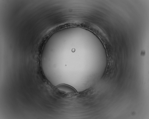 X0000103320773200809261135