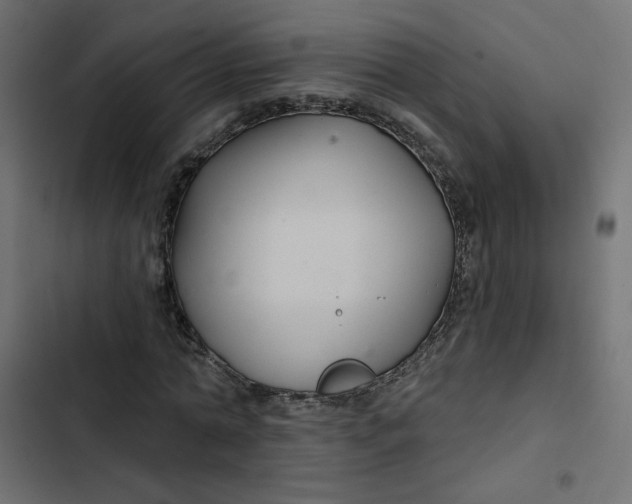 X0000103320774200809261135