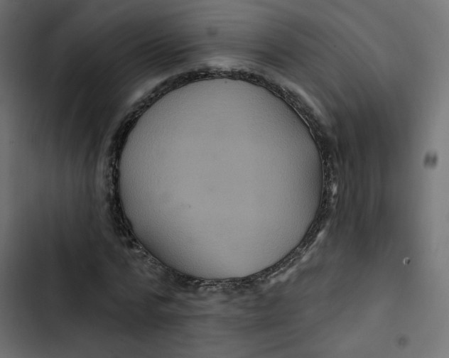 X0000103320776200809261135