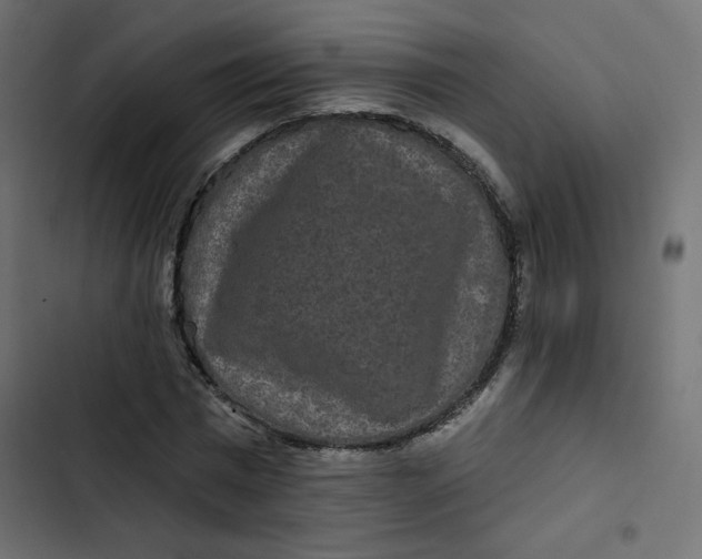 X0000103320777200809261135