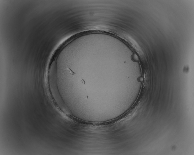 X0000103320780200809261135