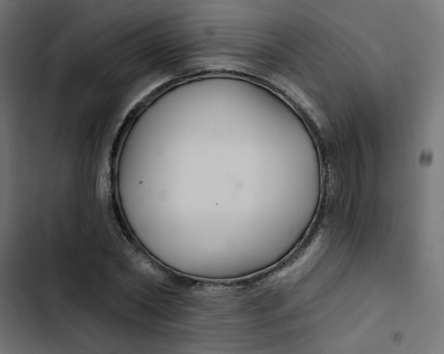 X0000103320782200809261135