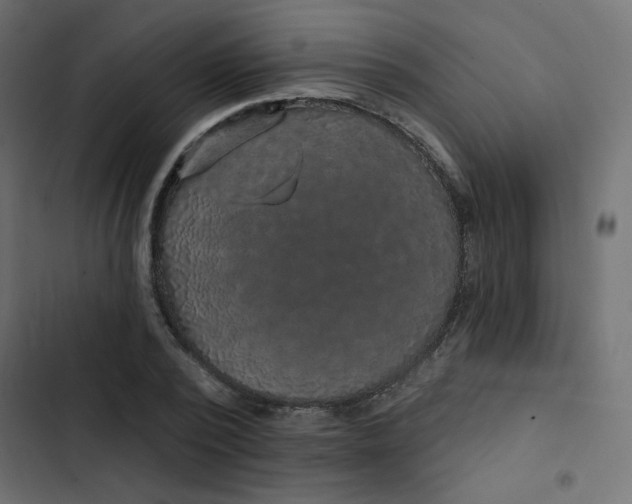 X0000103320784200809261135