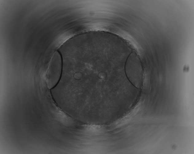 X0000103320785200809261135