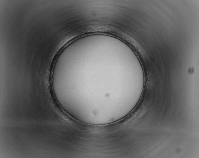 X0000103320786200809261135