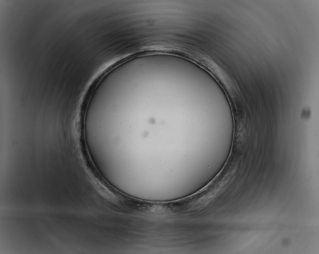 X0000103320787200809261135