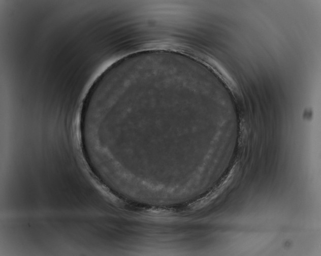 X0000103320788200809261135