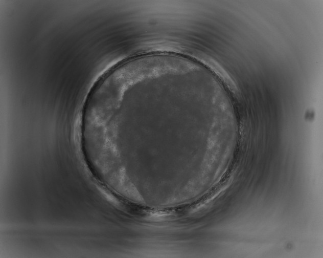 X0000103320790200809261135