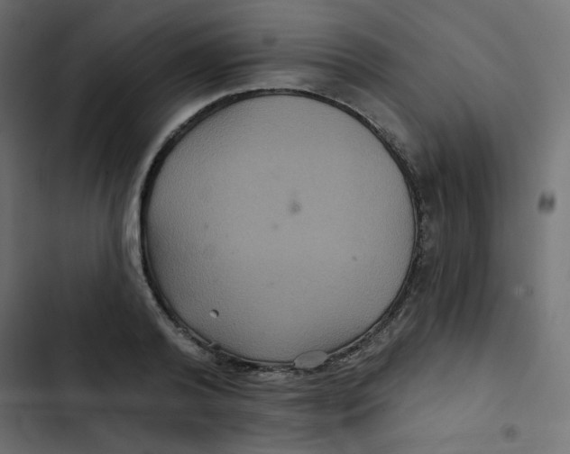 X0000103320792200809261135